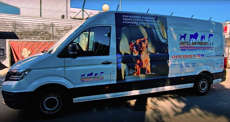 traslado de mascotas madrid