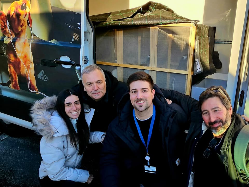 transporte de perros madrid